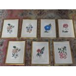 A set of seven gilt framed botanical prints. 36cm x 28cm