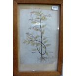 A set of five colour prints of wild flowers in an oak frame (5)