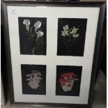 Judith Davies, 20th century, two silver point etchings depicting floral studies,