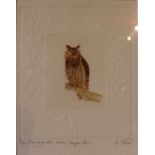A signed aquatint by A Fore of a horned owl perched on a bough in embossed white mount of branches