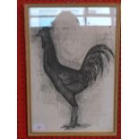 Bernard Buffet lithograph of an etching of a cockeral framed and glazed