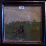 A 20th century oil on canvas board study of a cattle resting in a field signed indistinctly,