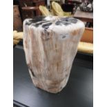A decorative petrified wooden trunk , fossilized , from Indonesia,