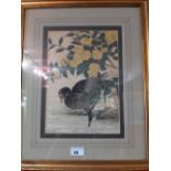 A Japanese woodblock print of a duck and another similar of a bird perched on bamboo,