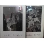 A framed Ansel Adams poster and an unframed Ansel Adams poster