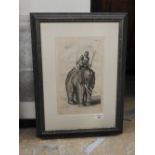 An antique study of a young boy on an elephant,