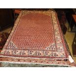 A Persian rug,