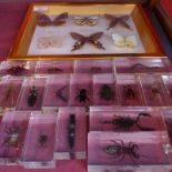A cased set of six butterfly specimens together with eighteen perspex encased insect specimens.