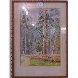 Early 20th Century American School watercolour of a Rocky Mountain forest scene,