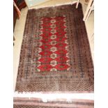 Three Bokhara style rugs,