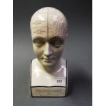 A phrenological bust