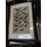 A set of four prints of birds and one other.