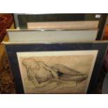 Three large nude studies in stainless steel frames,