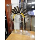 A cased feather head dress