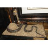 A taxidermy model of a coiled snake on a