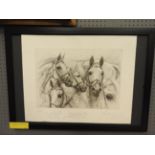 A signed pencil drawing of 'Abdulla', the world famous horse from the 1980s having annotation,