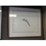 A pencil study of a gull, by Andrew Miller Mundy, gallery label to verso,
