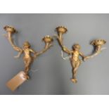 A pair of gilt cherub wall light both twin branches supported with outstretched arms