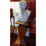 An early 20th century stone bust of Julius Caesar on a Victorian oak plinth