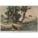 An original coloured lithograph entitled 'Africa' depicting wart hog's and crocodile's at the edge