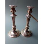 A large pair of 19th century old Sheffie