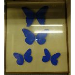 A large framed butterfly picture