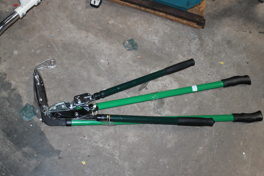 A PAIR OF RATCHET LOPPERS AND EDGE SHEARS