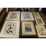 SEVEN FRAMED & GLAZED PAINTINGS ON RICE PAPER, SILK ETC