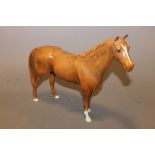 A LARGE BESWICK CHESTNUT HORSE A/F