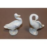 A PAIR OF LLADRO DUCKS