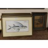 A SET OF SIX FRAMED & GLAZED FISH PRINTS & TWO OTHERS