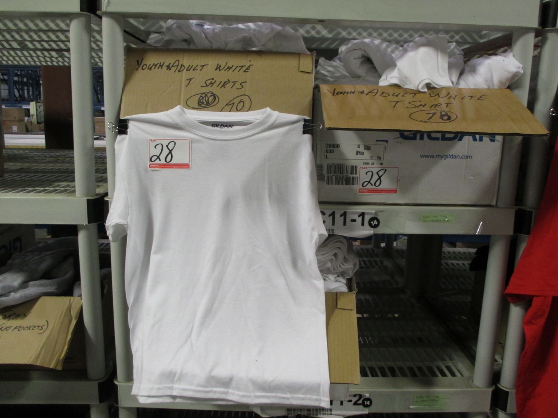 PCS - GILDAN WHITE ASSTD YOUTH + ADULT T-SHIRTS