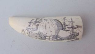Wahlrosszahn, graviert "Ship Globe" auf dem Zahn gravierte Schiffsdarstellung, rückseitig bezeichnet