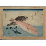 Hiroshige, Ando (1797-1858) Farbholzschnitt. Blatt aus der Serie "Große Fische" von 1833.