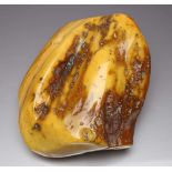 Großer, polierter Rohbernstein, so genannter "Butter scotch amber". Opak honigfarben in
