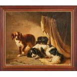 Gemälde Monogr. VD Tiermaler d. 19.Jh "3 junge Hunde" u. re. monogr. VD Öl/Lwd. (doubl.), 50 x 60