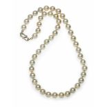 Akoya-Perlenkette bestehend aus 47 Akoya-Perlen (+2), vollrund, feines Lüster, übl.