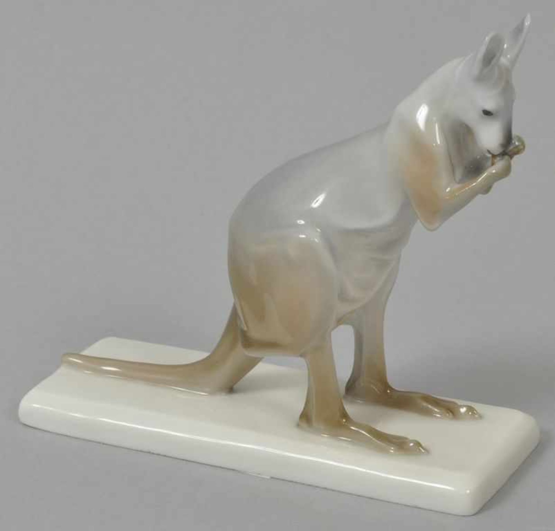 Bochmann, Max. Meissen 1874-1942 Känguruh, fressend. Modell 1905, zeitnahe Ausführung PM Meissen.