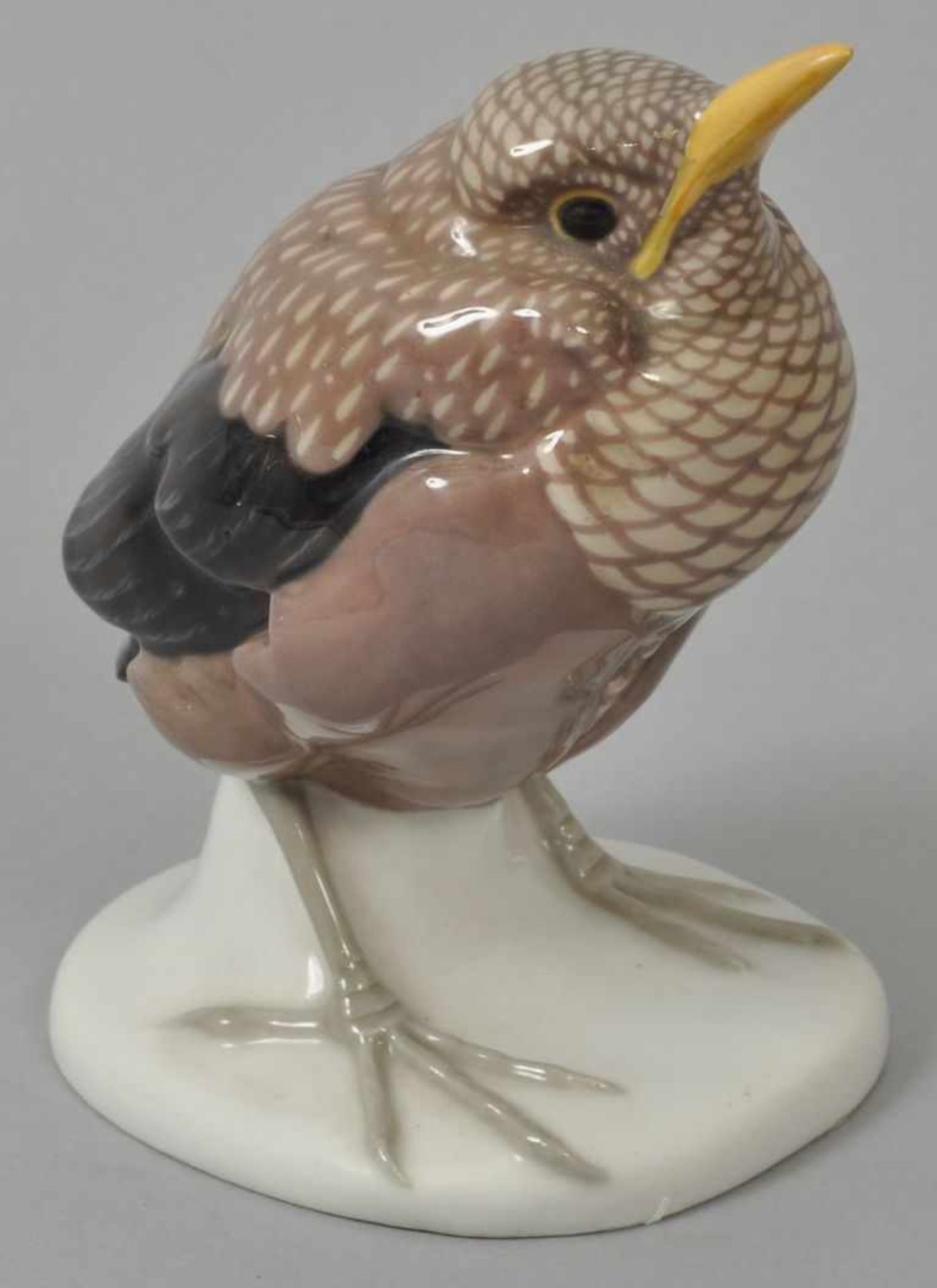 Bochmann, Max. 1874-1942 Meissen "Junge Amsel". Modell 1912, Ausführung PM Meissen um 1919. - Image 2 of 3