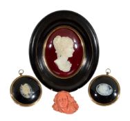 An Italian coral relief cameo,   20th century, carved with young lady's head amidst fruiting vine,