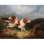 Manner of George Armfield (c.1808-1893) - Two pointers  Oil on canvas 30.5 x 41 cm.(12 x 16 1/8 in)