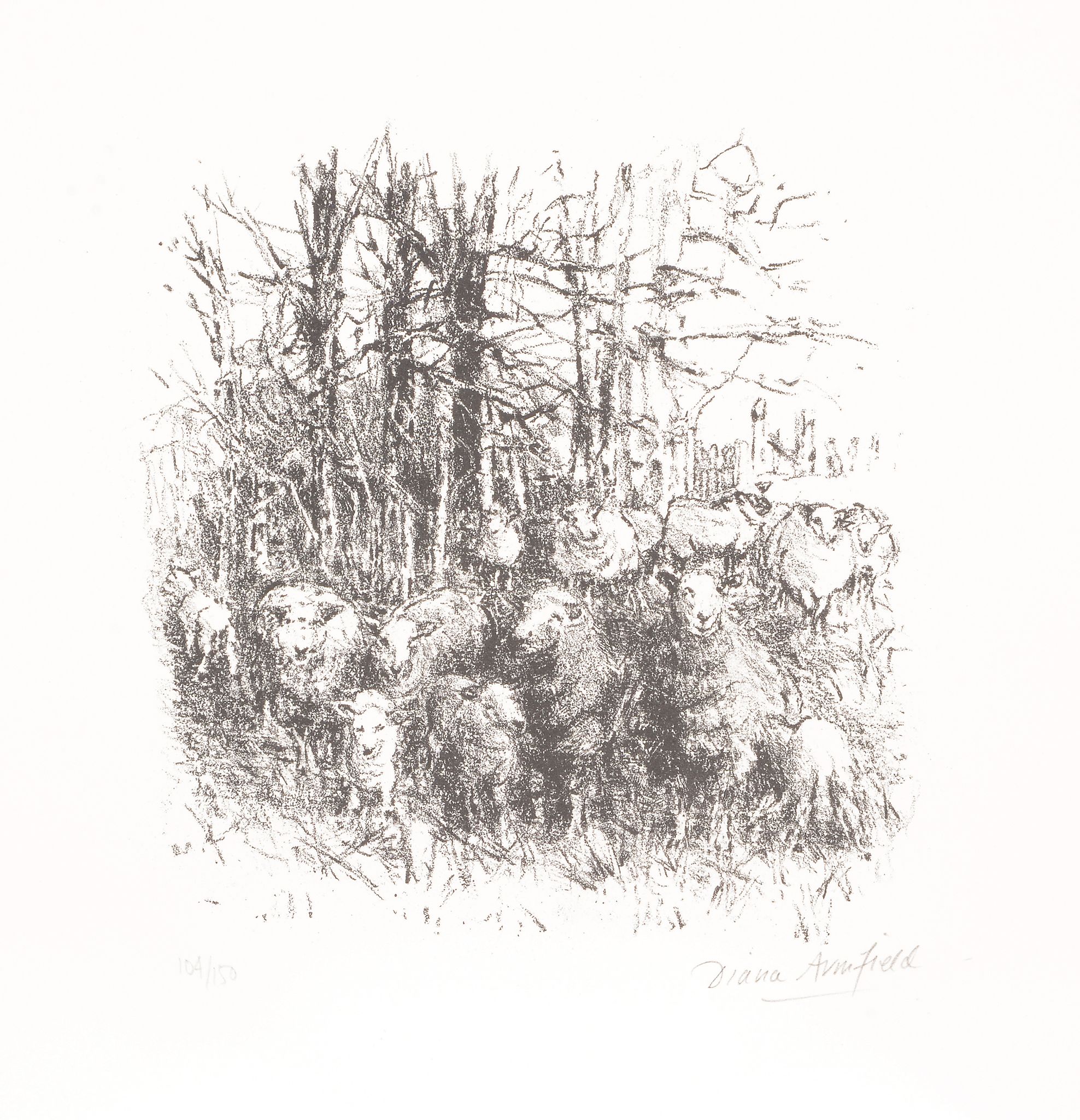 Diana Armfield (b.1920) - Sheep sheltering: Winter at Llwynhir  Lithograph  Signed lower right