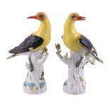 A pair of Meissen models of golden orioles, 20th century, blue crossed marks   A pair of Meissen
