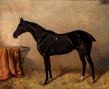 Alfred Wheeler (1851-1932) - Portrait of a black thoroughbred in a stabe  Oil on canvas Signed