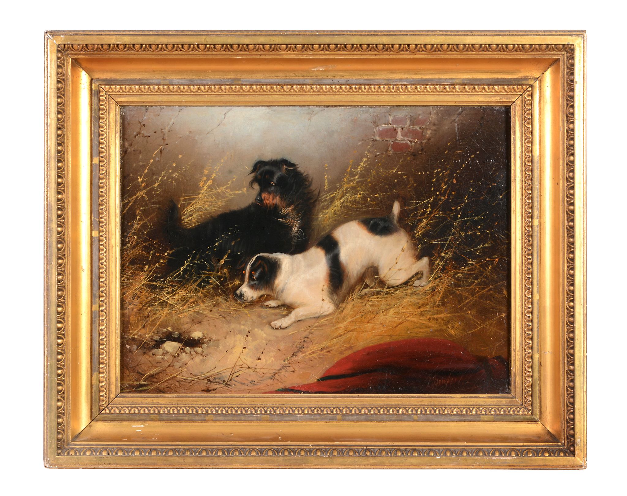 Manner of George Armfield (c.1808-1893) - Two terriers ratting  Oil on canvas 29.5 x 39.5 cm.(11 5/8 - Image 2 of 3