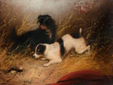 Manner of George Armfield (c.1808-1893) - Two terriers ratting  Oil on canvas 29.5 x 39.5 cm.(11 5/8