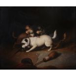 Manner of George Armfield (c.1808-1893) - Three terriers ratting  Oil on canvas 49 x 59.5 cm.(19 1/4