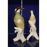 A pair of German porcelain models of woodpeckers  , 24cm high