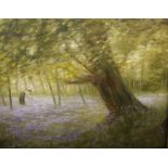 Sheila Tiffin (b.1952) Girl amongst bluebells in woodland  Oil in canvas Signed and dated „  27cm x