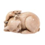 An Unusual Ivory Netsuke of a Cat, the feline lies coiled up asleep and...   An Unusual Ivory